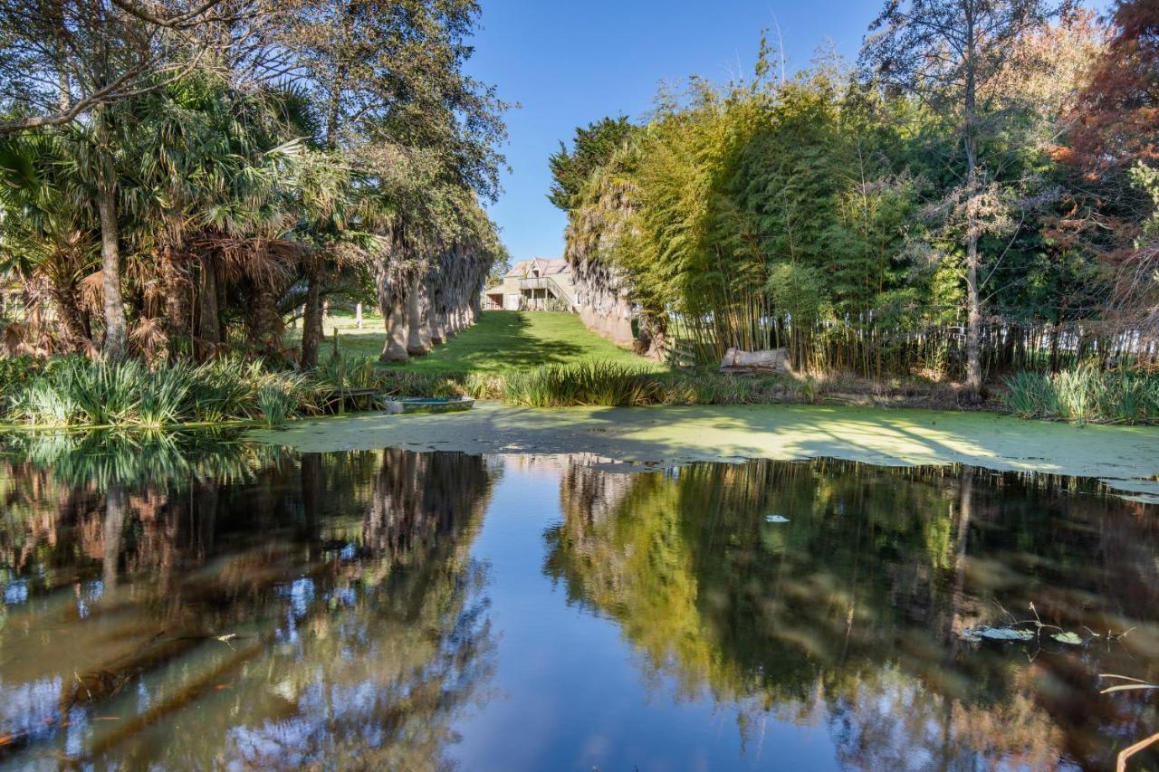 Headlands Estate Apartment Whanganui Ngoại thất bức ảnh