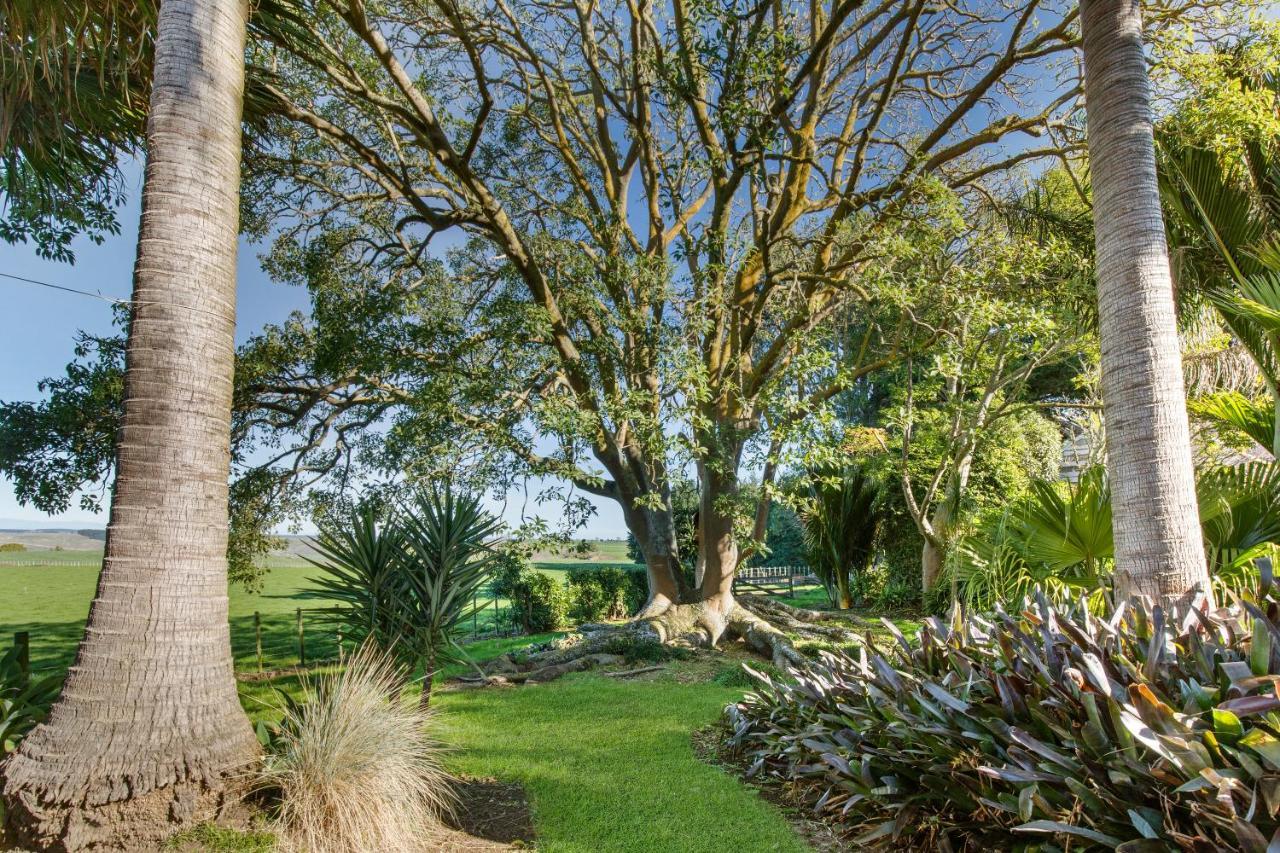 Headlands Estate Apartment Whanganui Ngoại thất bức ảnh